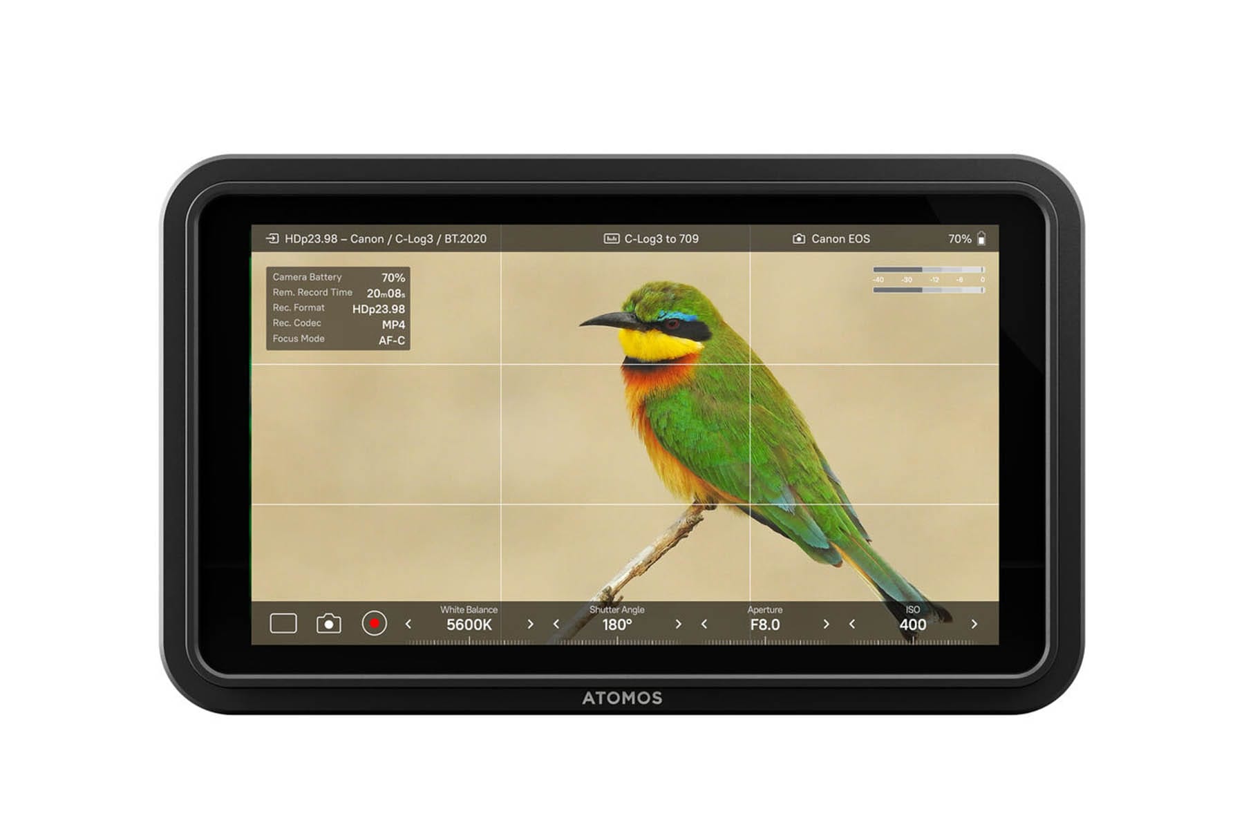 Atomos Shinobi II 5.2" HDMI HDR Monitor